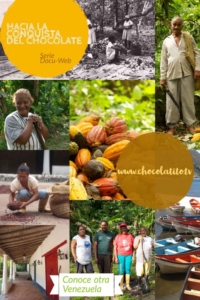 Cacao Venezolano